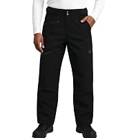 Amazon.com: Spyder Active Sports Men's Mesa Gore-TEX Ski Pant